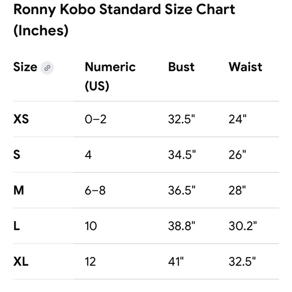 Ronny Kobo Idris Ruched Maxi Dress - Picture 6 of 6